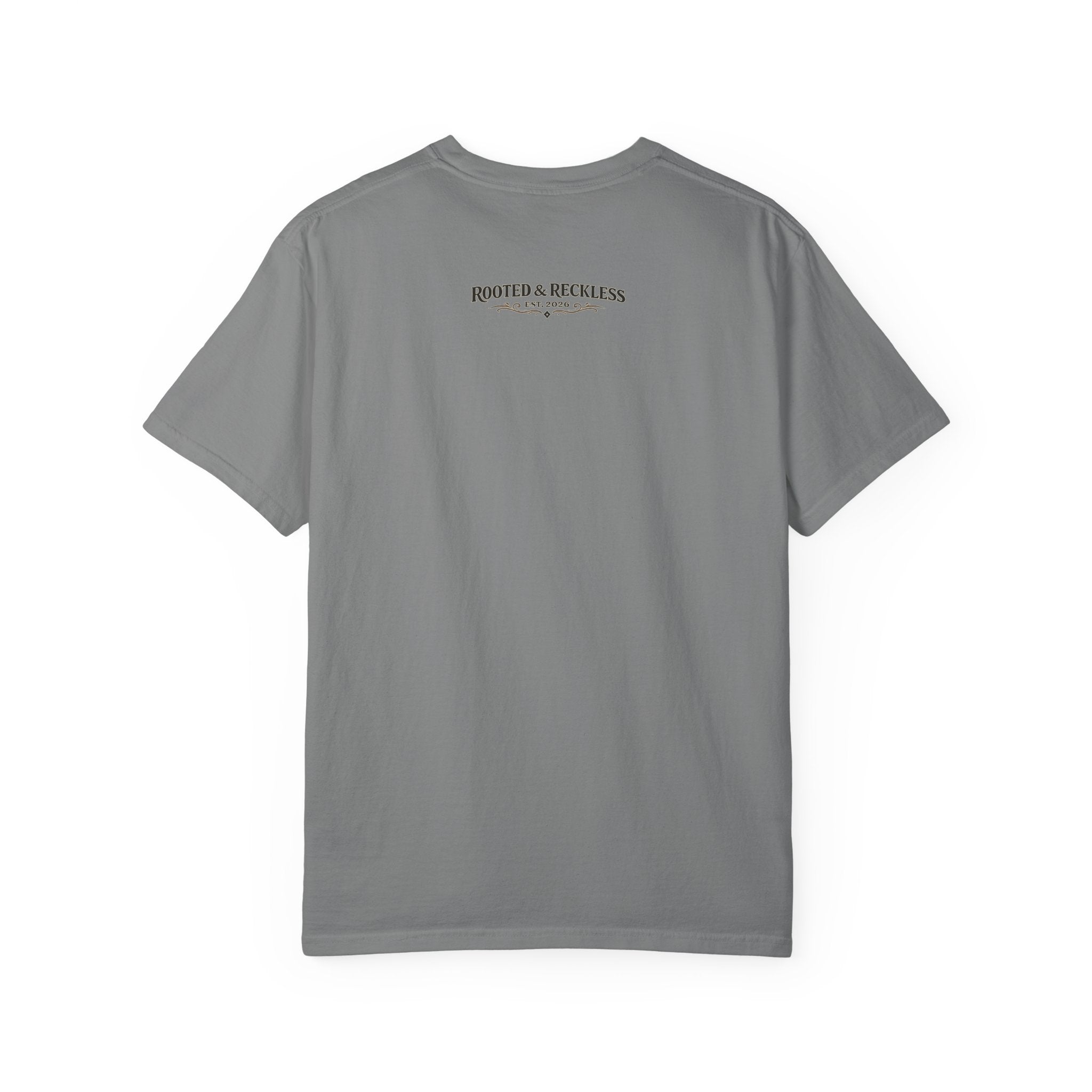 Pro-Gun Anti-Idiot  — Graphic T Shirt